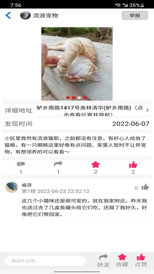 流浪宠物平台下载,流浪宠物,宠物app
