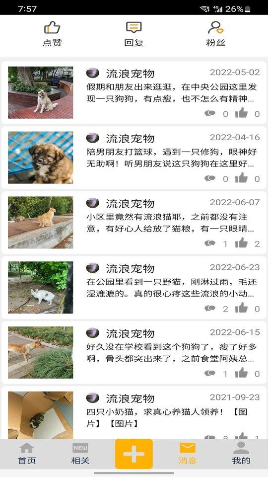流浪宠物平台下载,流浪宠物,宠物app